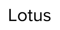 Ремонт стиральных машин Lotus в Талдоме